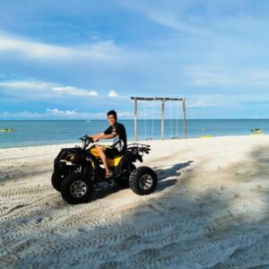 Excursion Quad à Djerba