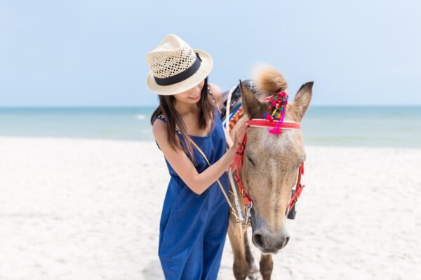 Woman play with horse in sand beach