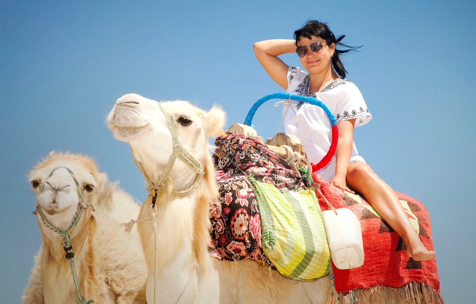 Young female tourist in tunic and sunglasses poses with camels against background Mediterranean sea